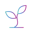 Sprout